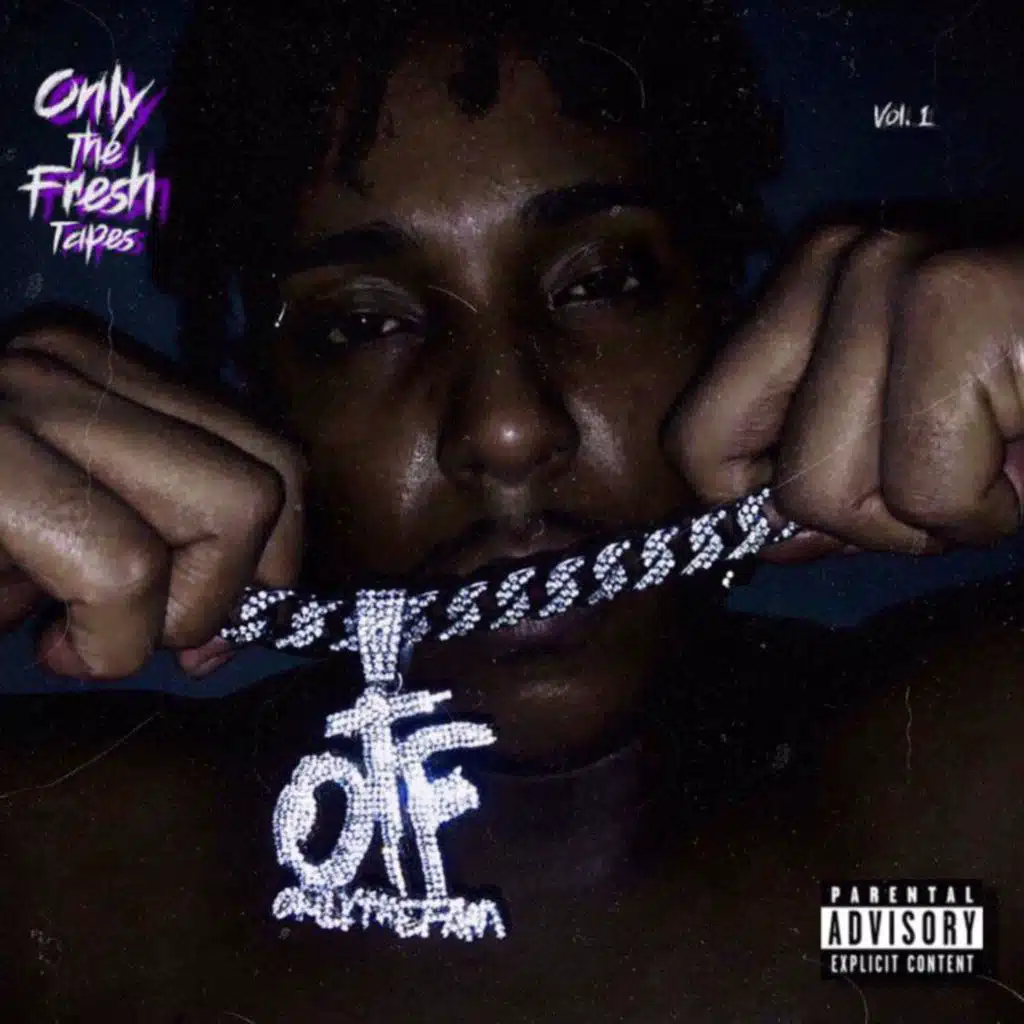 ONLY THE FRESH TAPES VOL.1