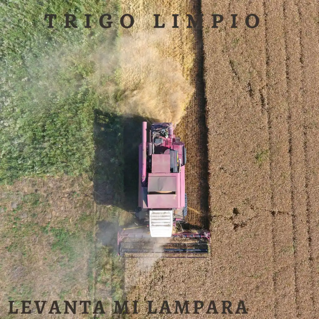 Trigo Limpio