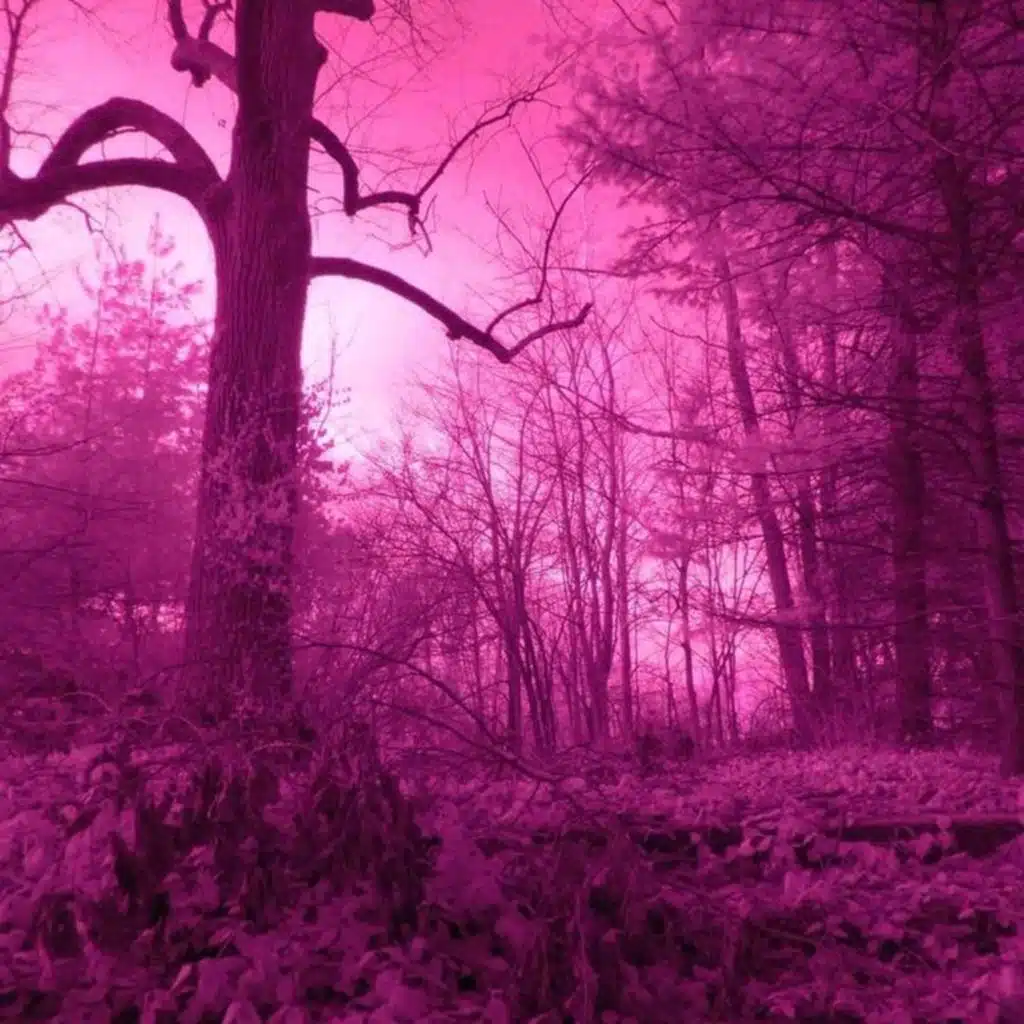 Ambient Vital & Alone In The Universe