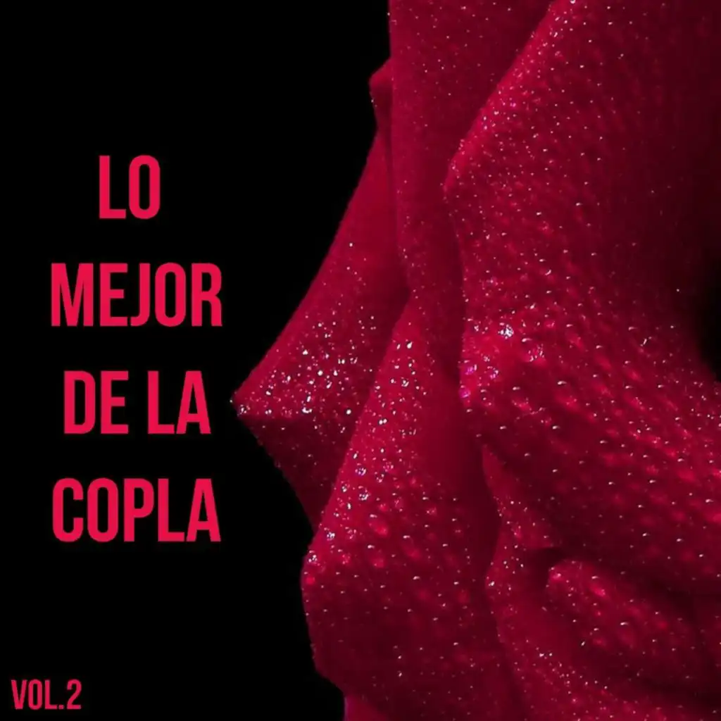 Lo Mejor de la Copla, Vol.2