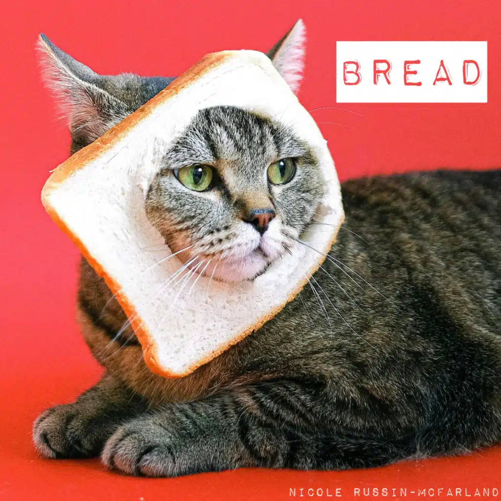 Bread