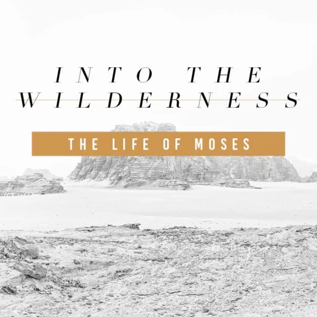 9/1 | Into the Wilderness | Part 12