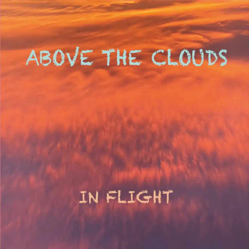 In Flight