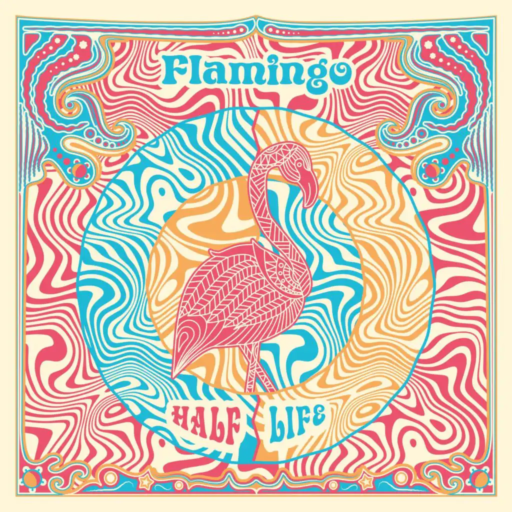 Flamingo