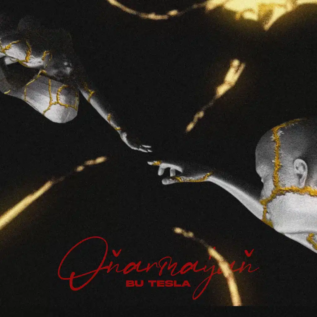 Bu TesLa