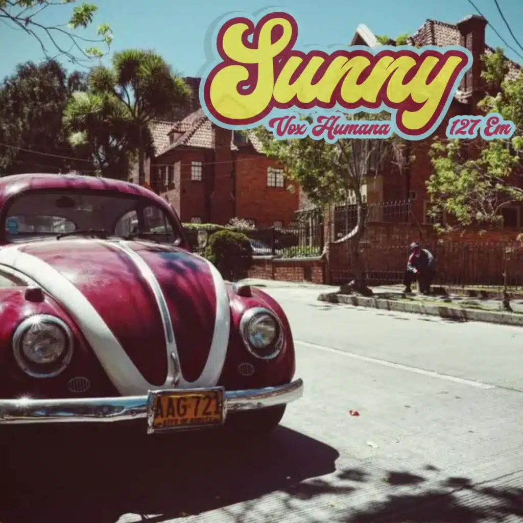 Sunny