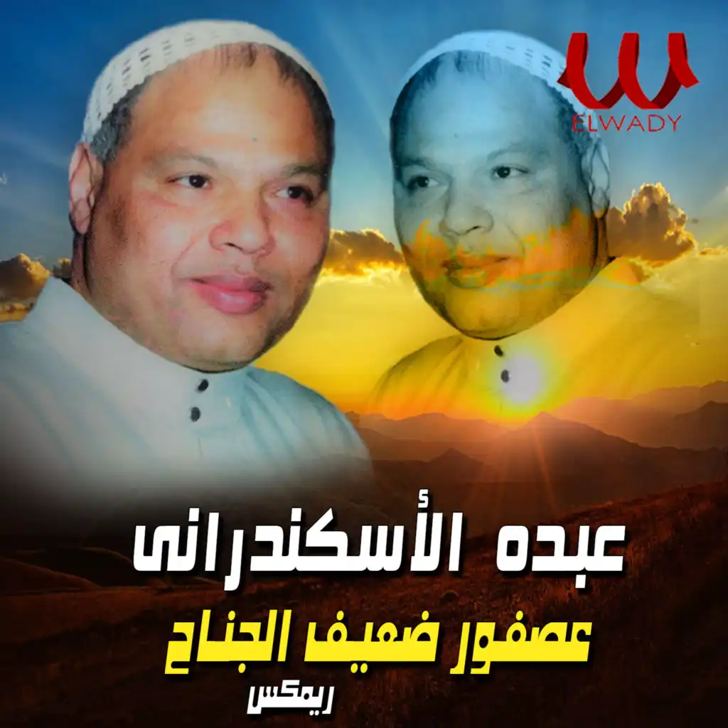 عصفور ضعيف الجناح ريمكس