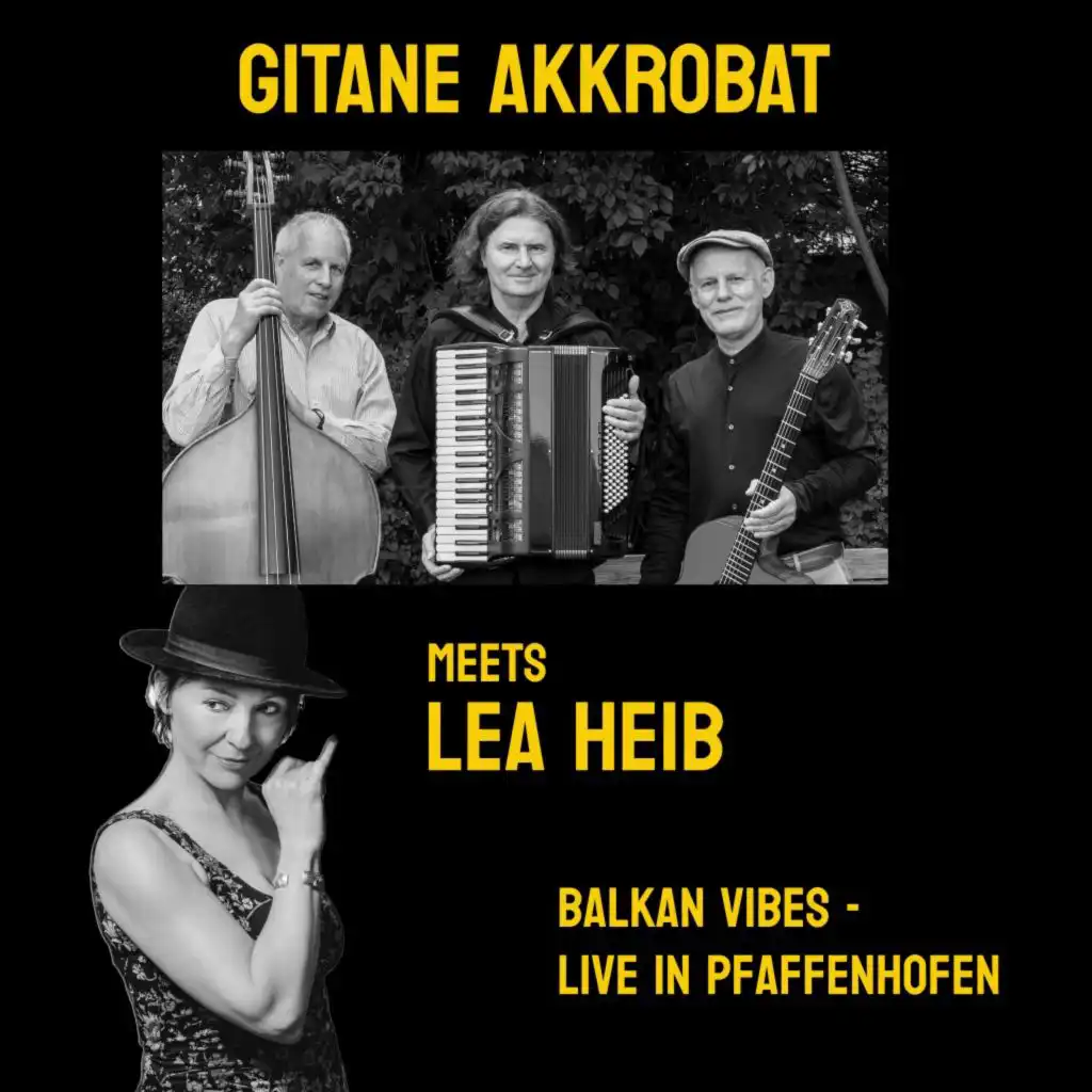 Gitane Akkrobat