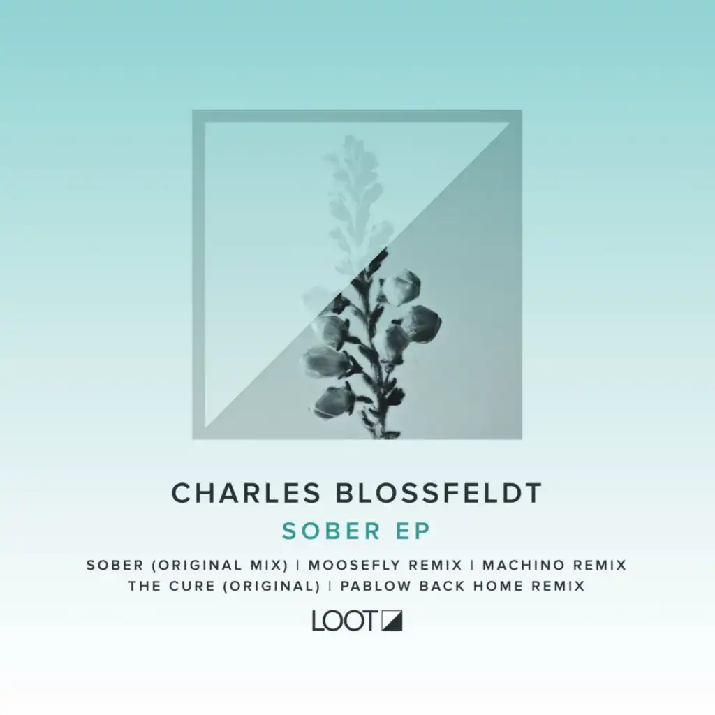 Sober (Moosefly Remix)