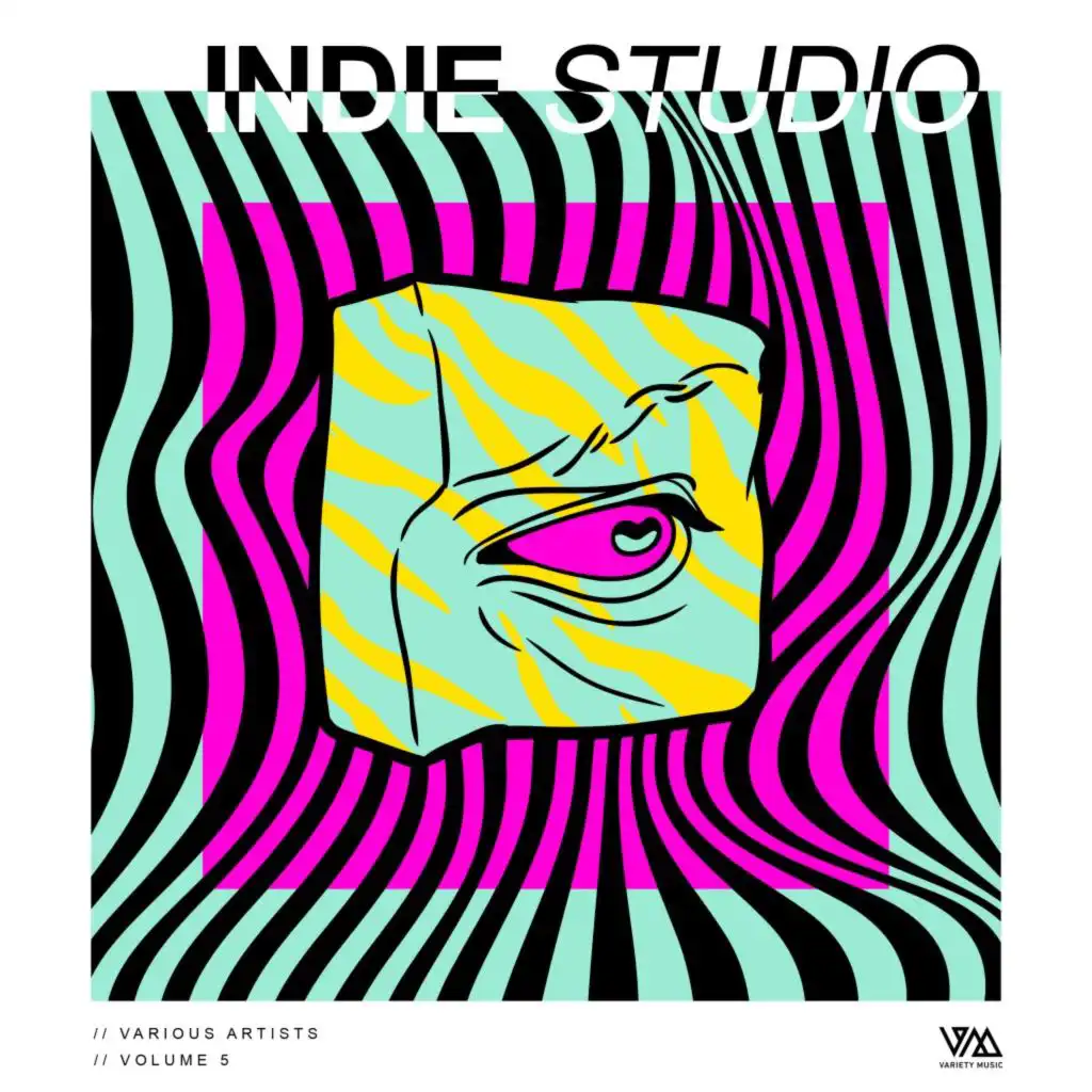 Indie Studio, Vol. 5