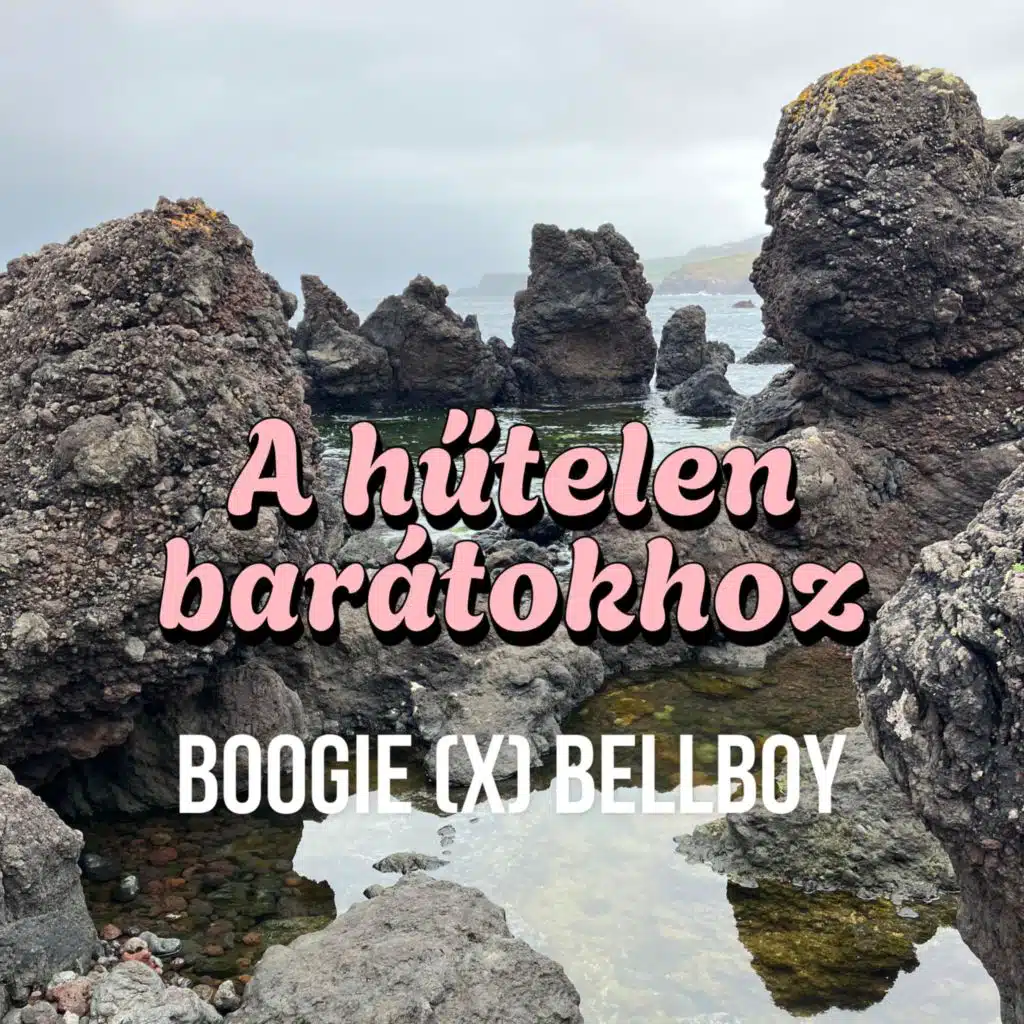 A hűtelen barátokhoz