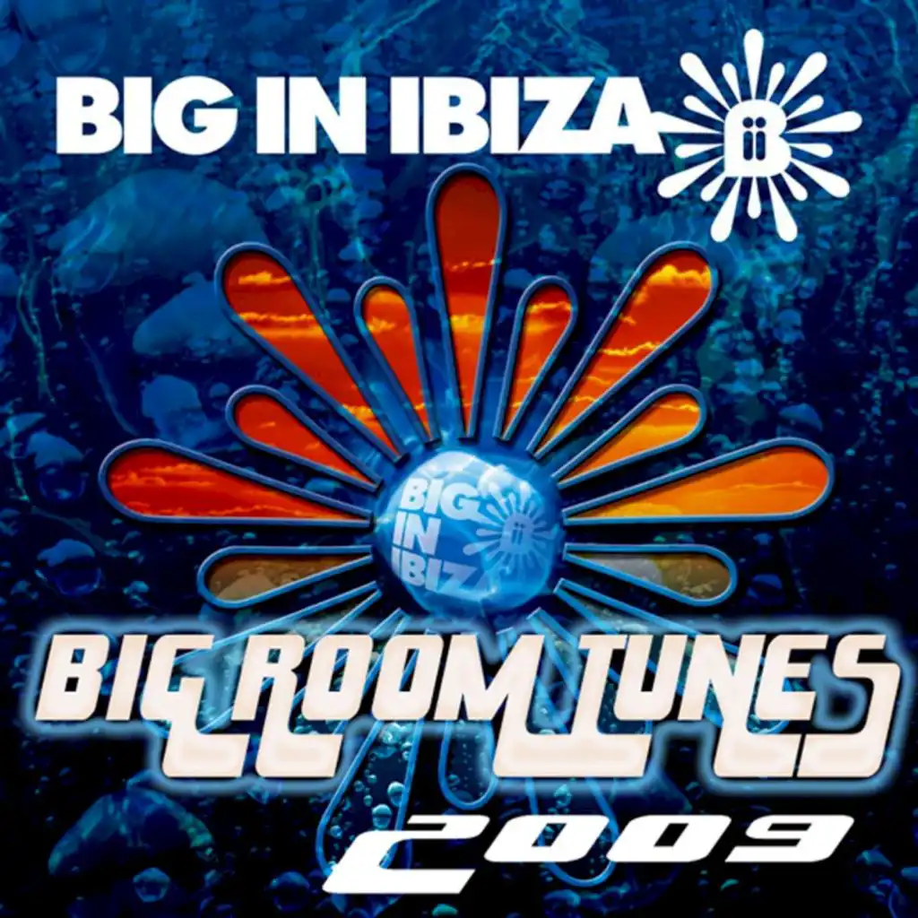 Big Room Tunes 2009