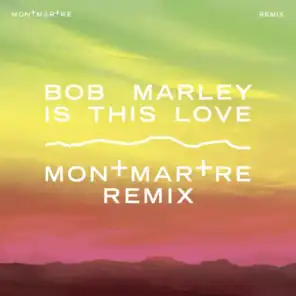 Is This Love (Montmartre Remix)
