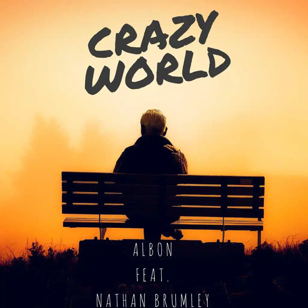 Crazy World (Radio Edit) [feat. Nathan Brumley]