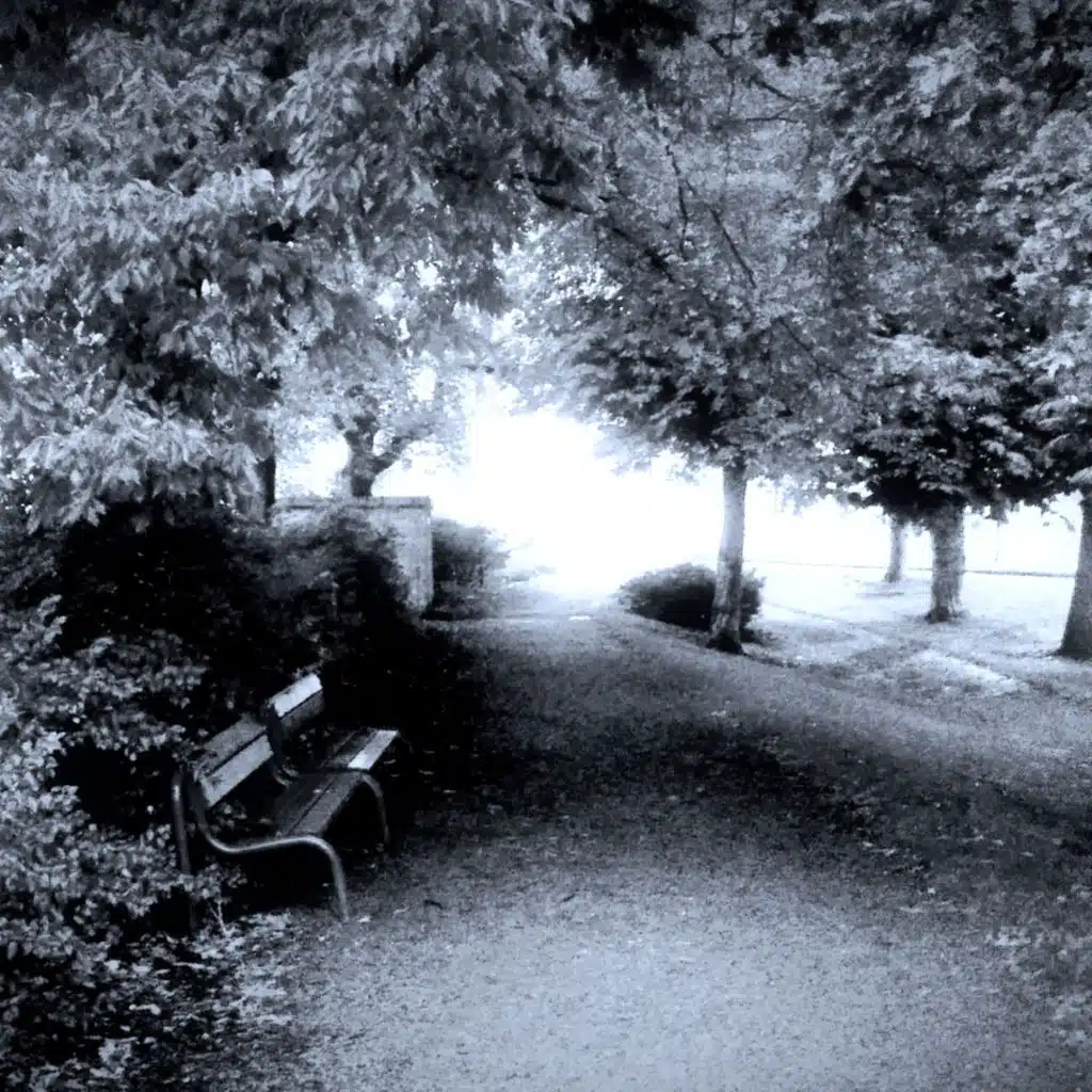 Loss