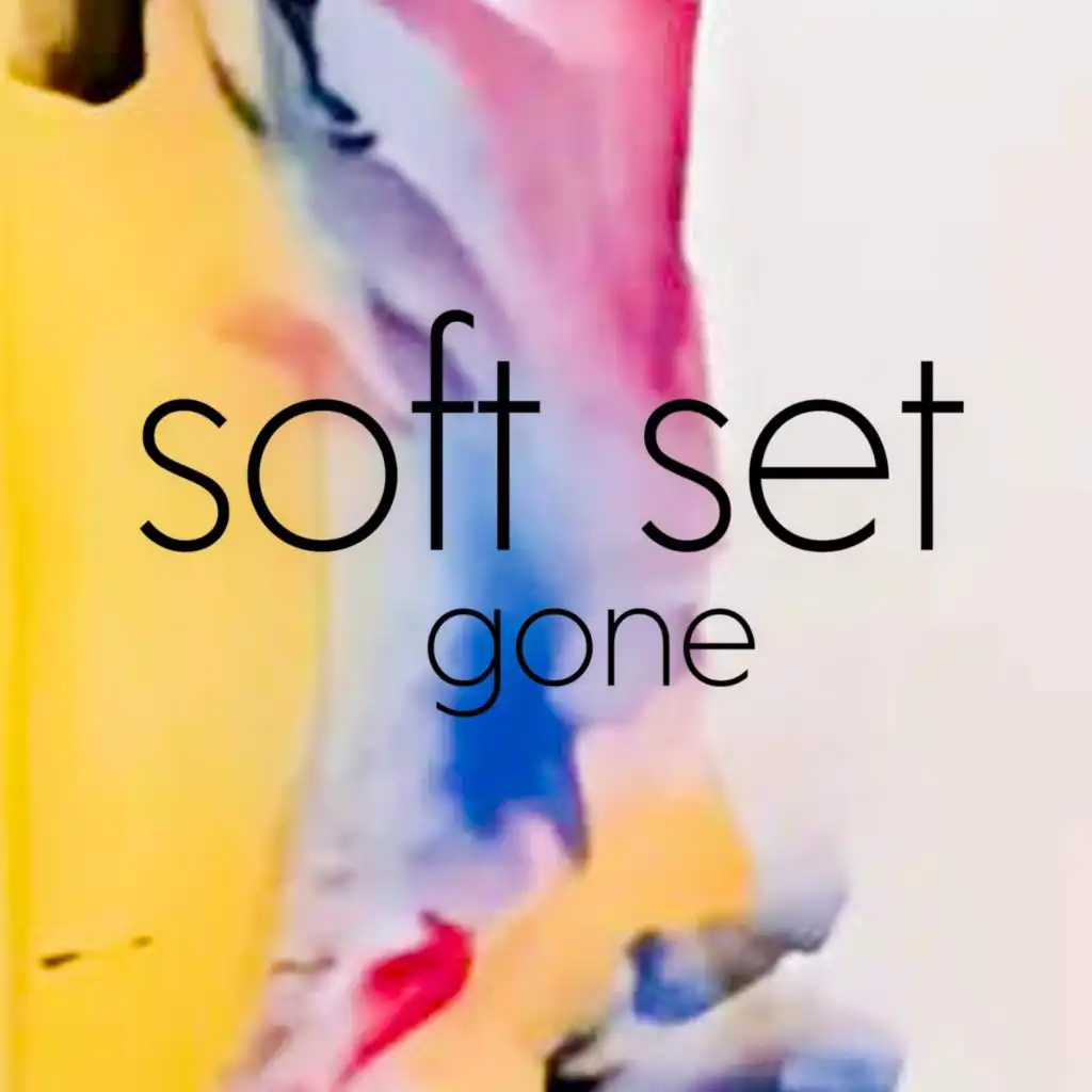 Soft Set