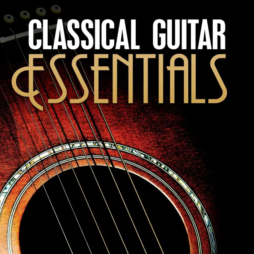 Concertino in D Major for Recorder, Guitar and Orchestra: IV. Finale. Allegro