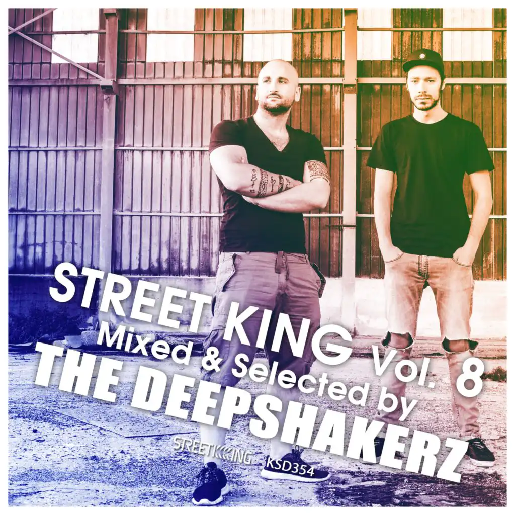 Street King, Vol. 8 (DJ Mix)