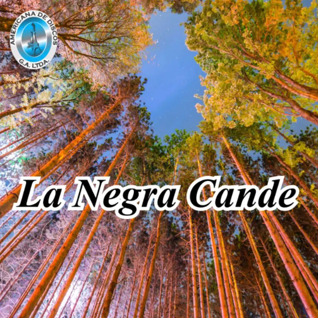 Dario Gil y Su Conjunto