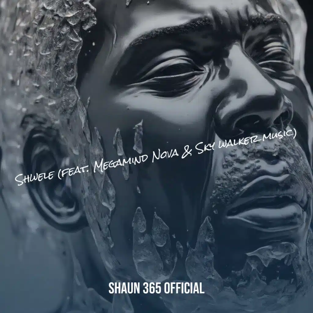 Shwele (feat. Megamind Nova & Sky walker music)