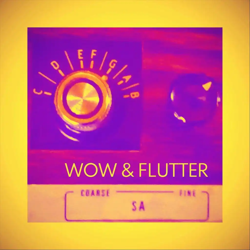 Wow & Flutter