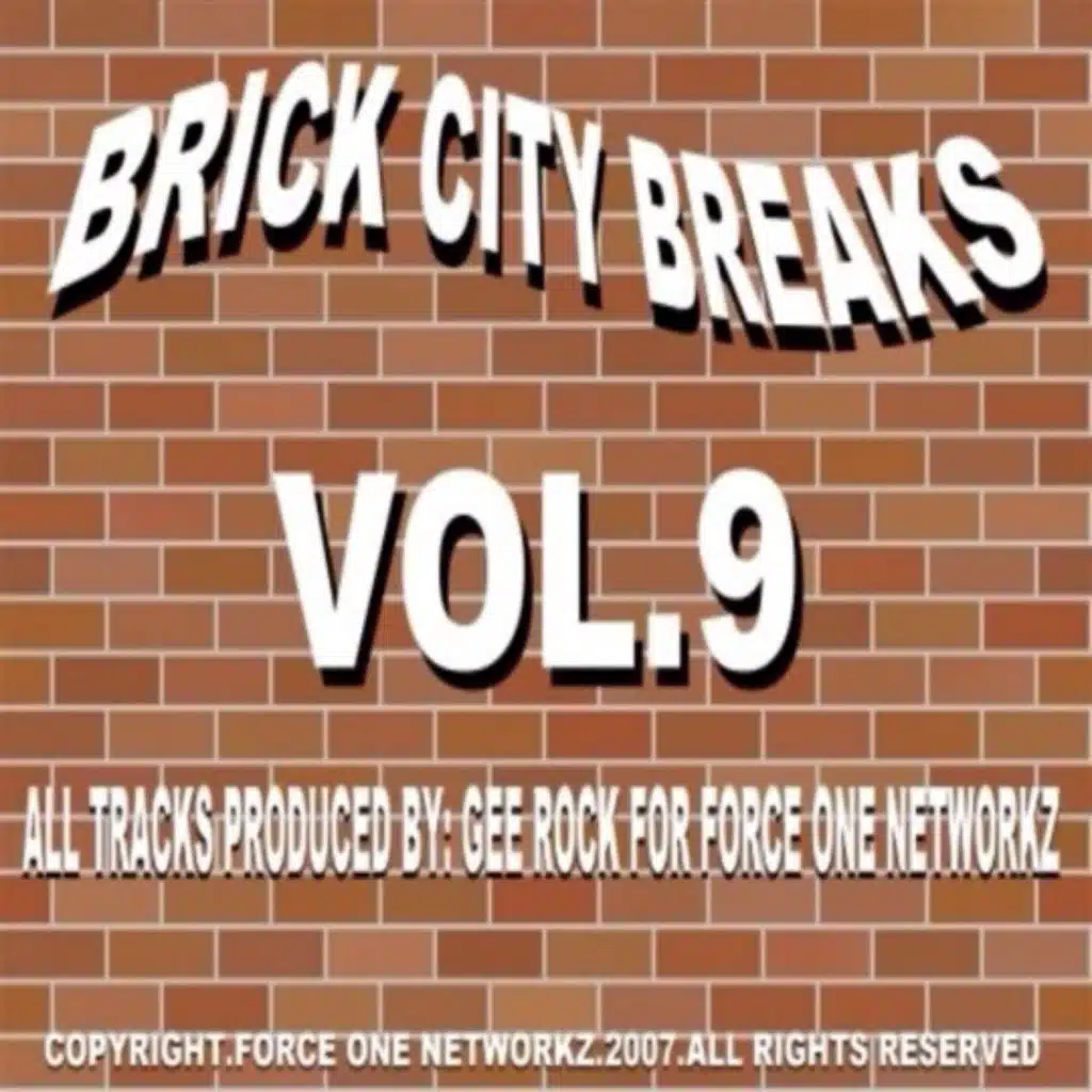 Brick City Breaks, Vol. 9