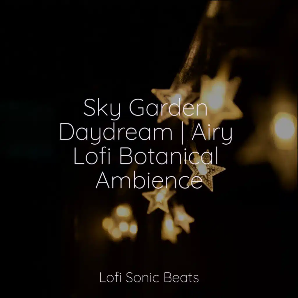 Lofi Beats, LO-FI BEATS & Lo Fi Hip Hop