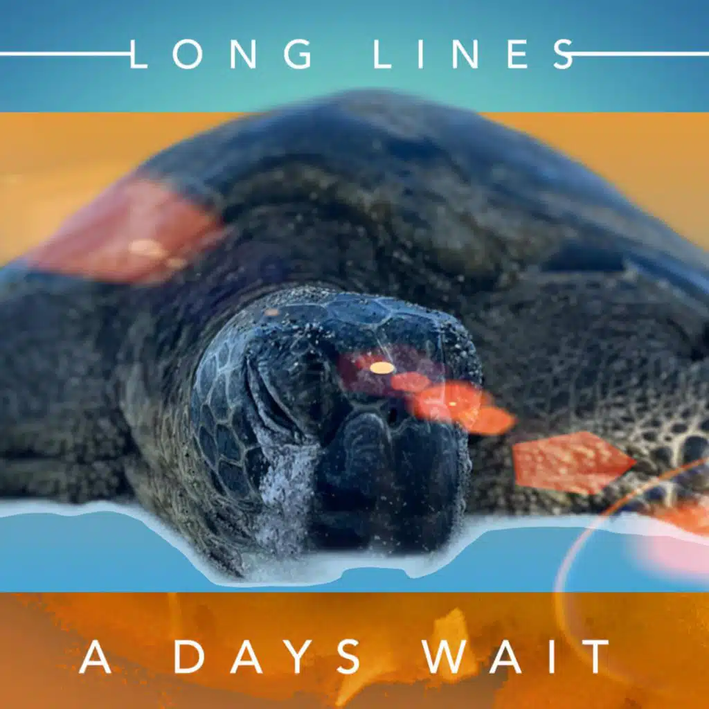 A Days Wait