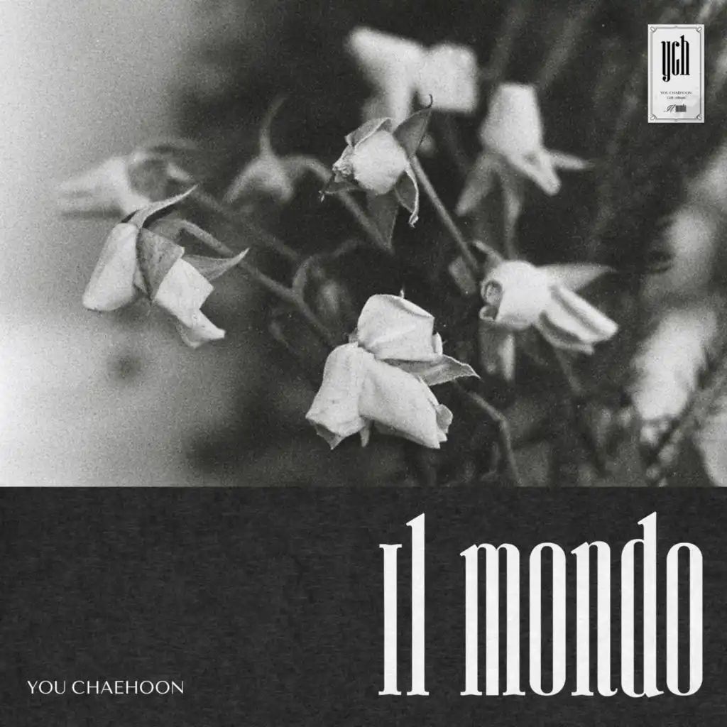 Il Mondo (Instrumental)