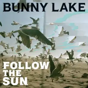 Follow the Sun (Desert Version)