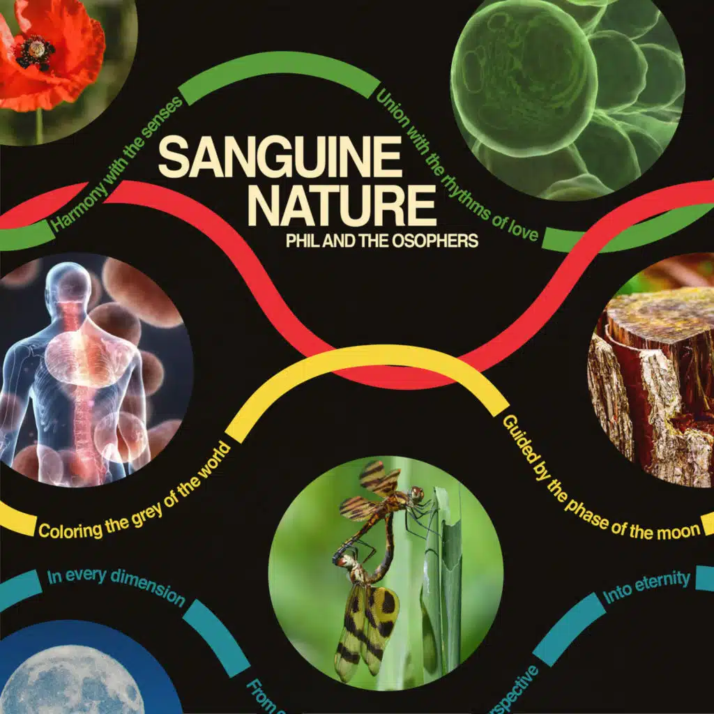 Sanguine Nature