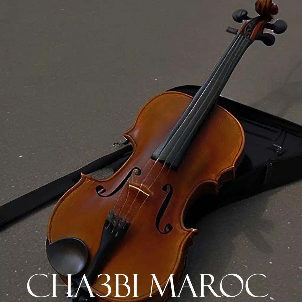 شعبي نايضة لجميع الأعراس والأفراح