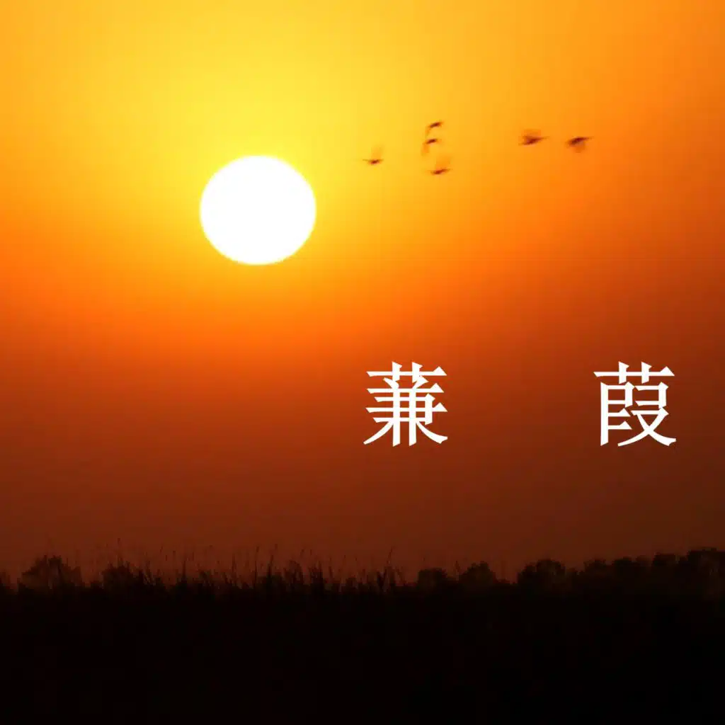 蒹葭（上）