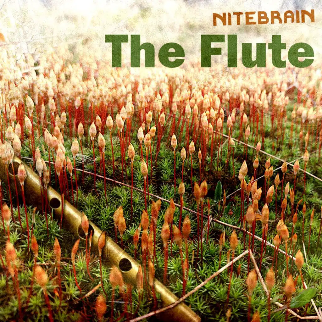 The Flute