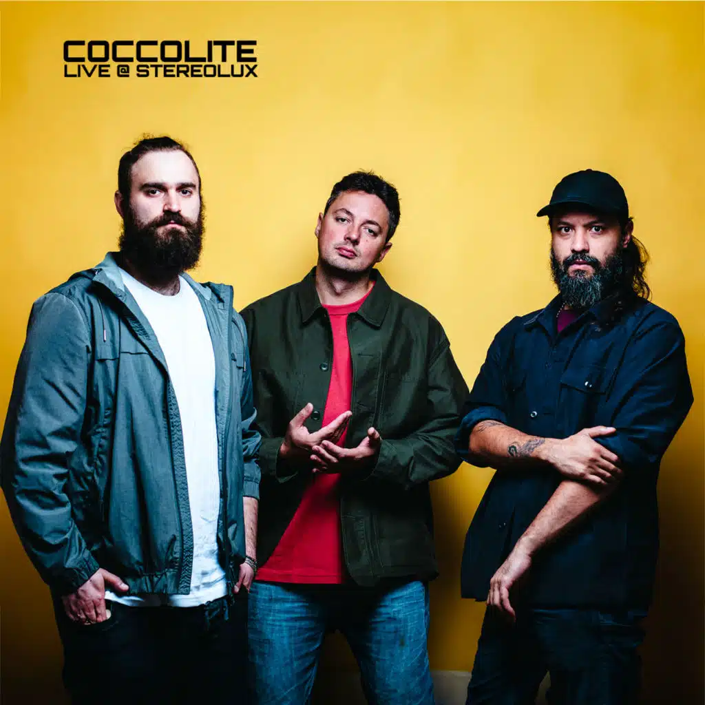 Coccolite