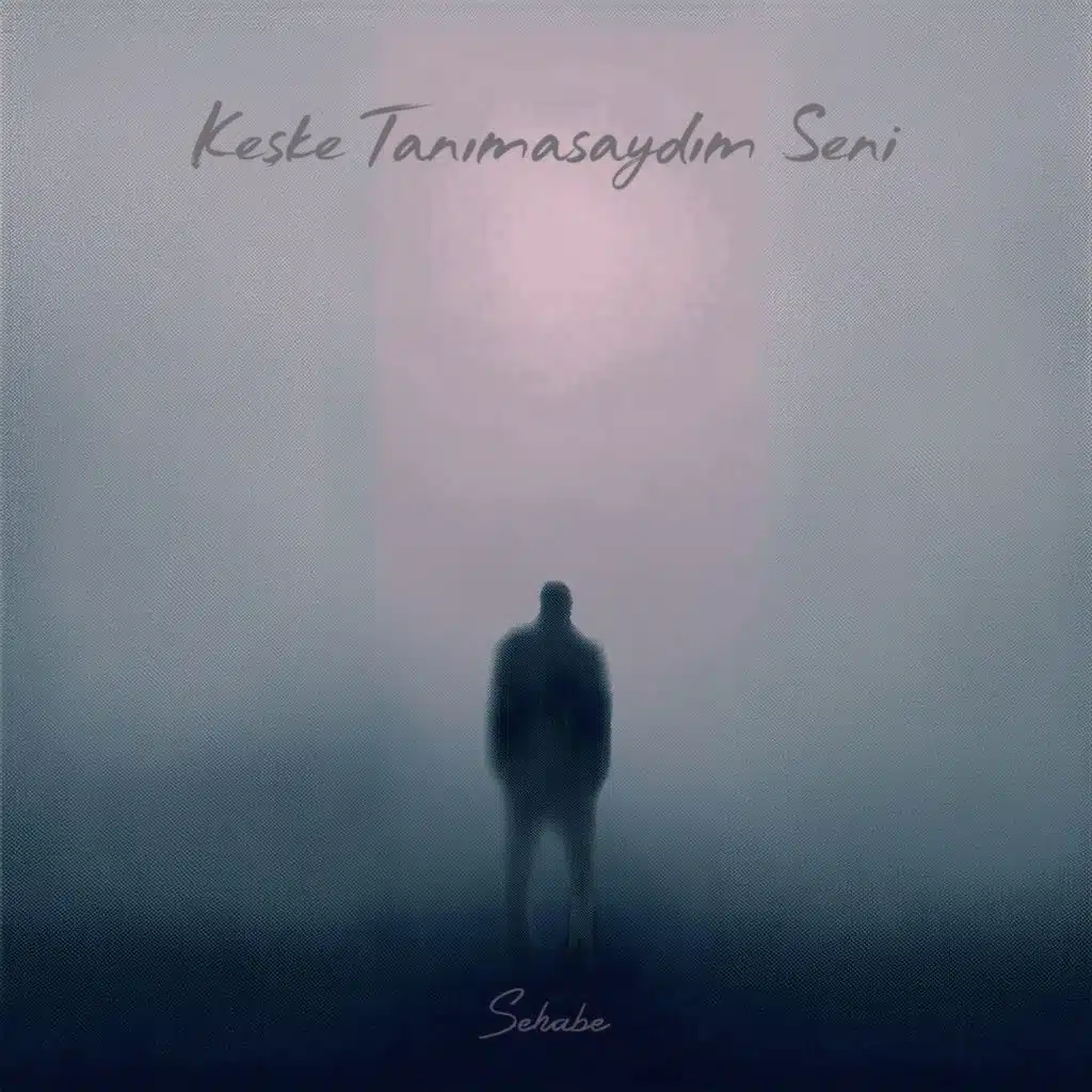 Keşke Tanımasaydım Seni