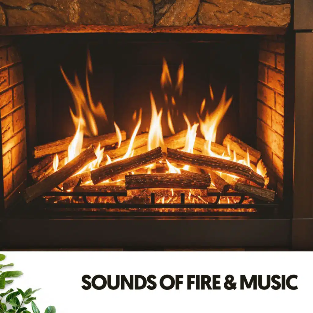 Relajacion, Fire Sounds & Focus Chamber