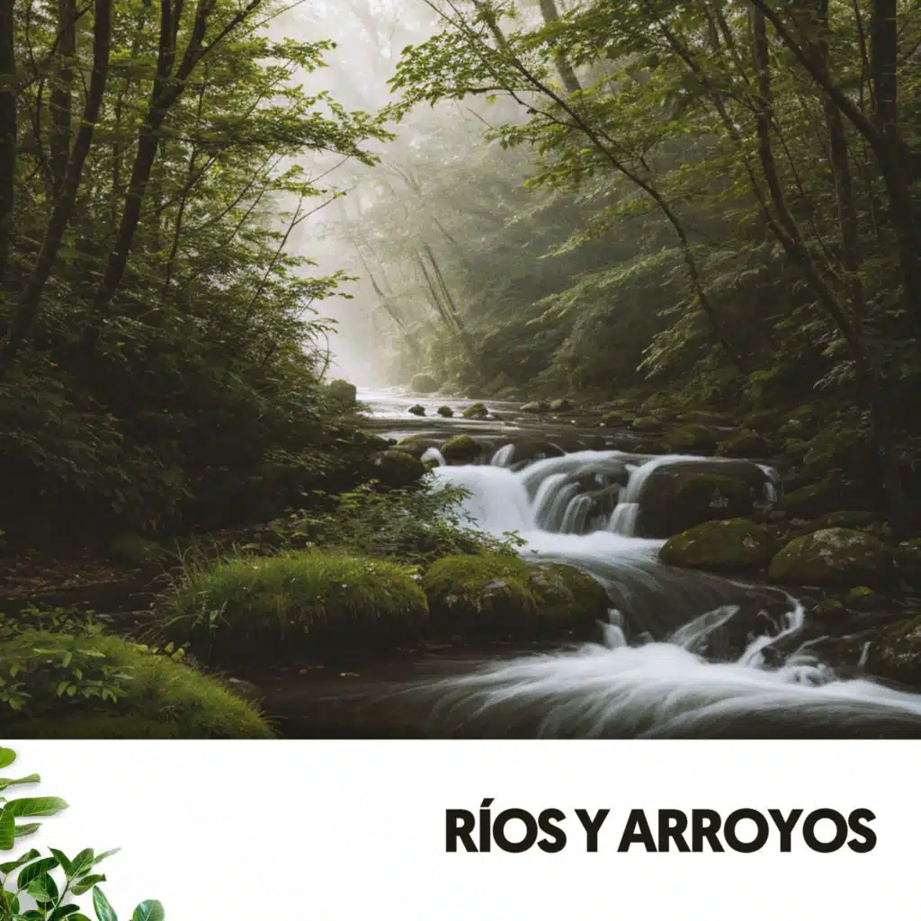 Dog Relaxation, Rivers and Streams & Dormir Profundamente en Minutos