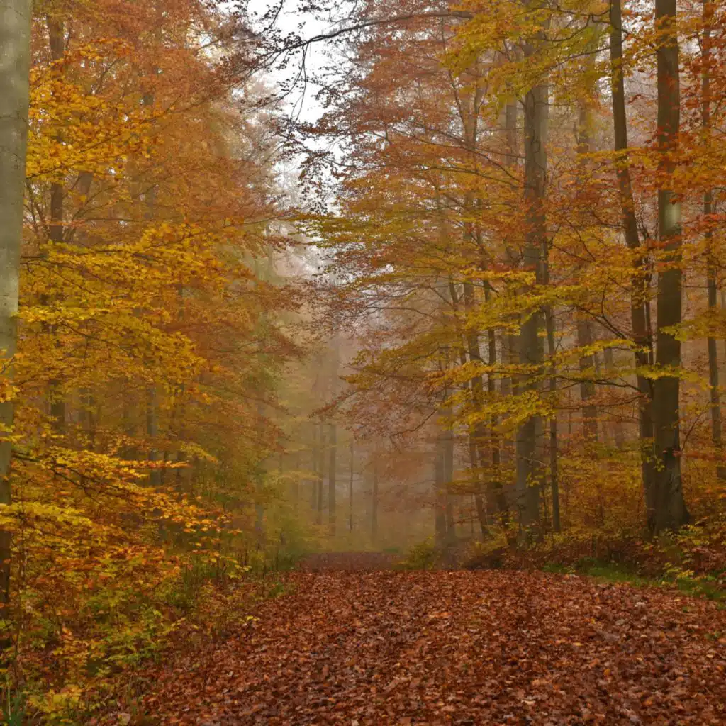 Der Herbst in der Klassik