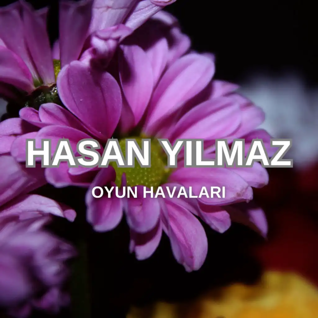 Hasan Yılmaz