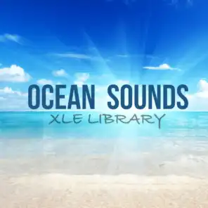 Ocean Sounds: Calm Waves