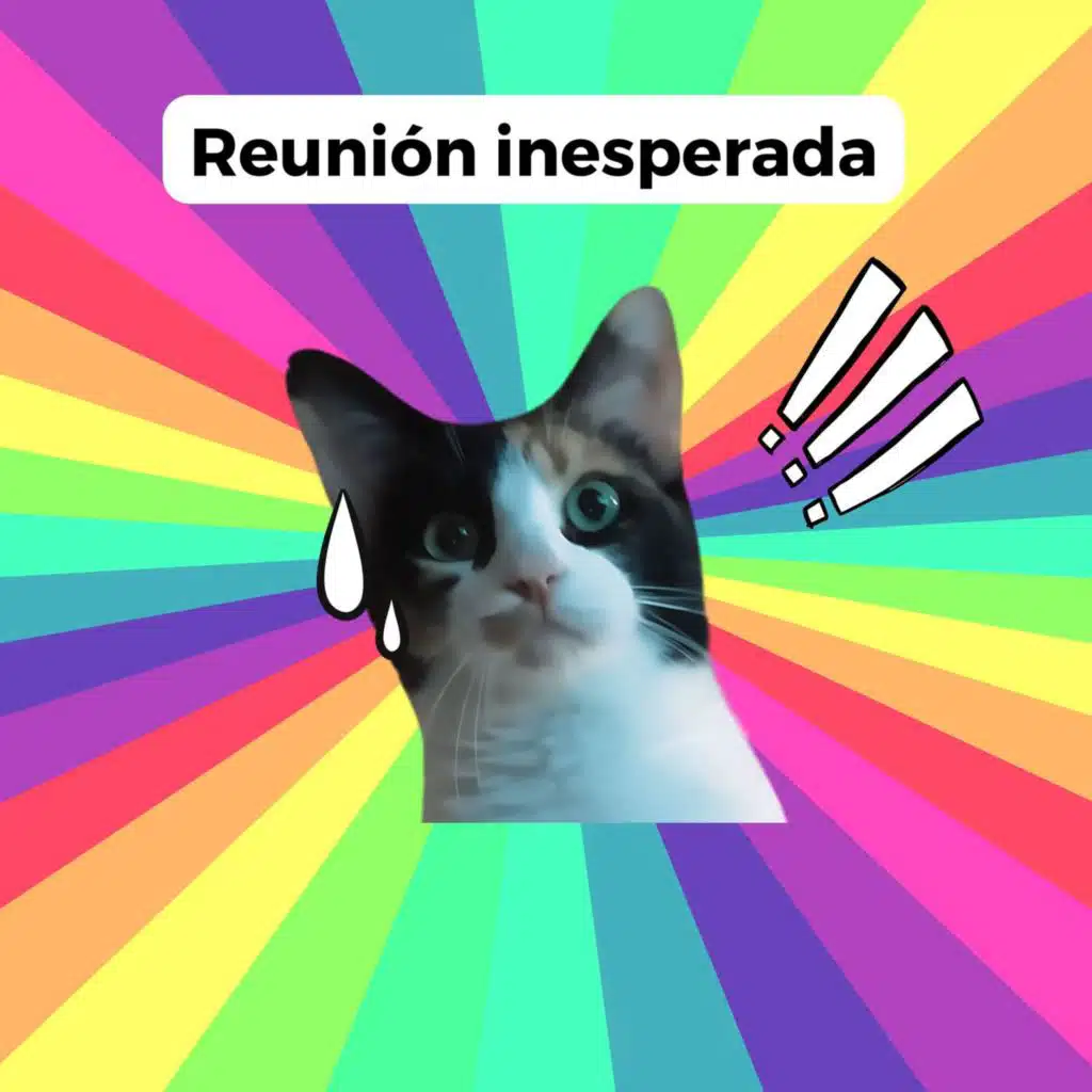 Reunión inesperada
