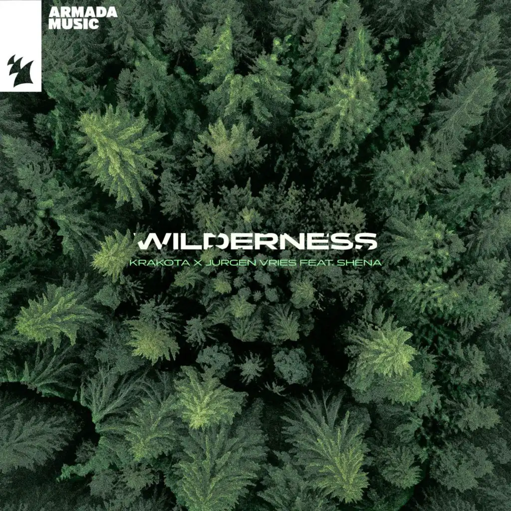 Wilderness (feat. Shena)