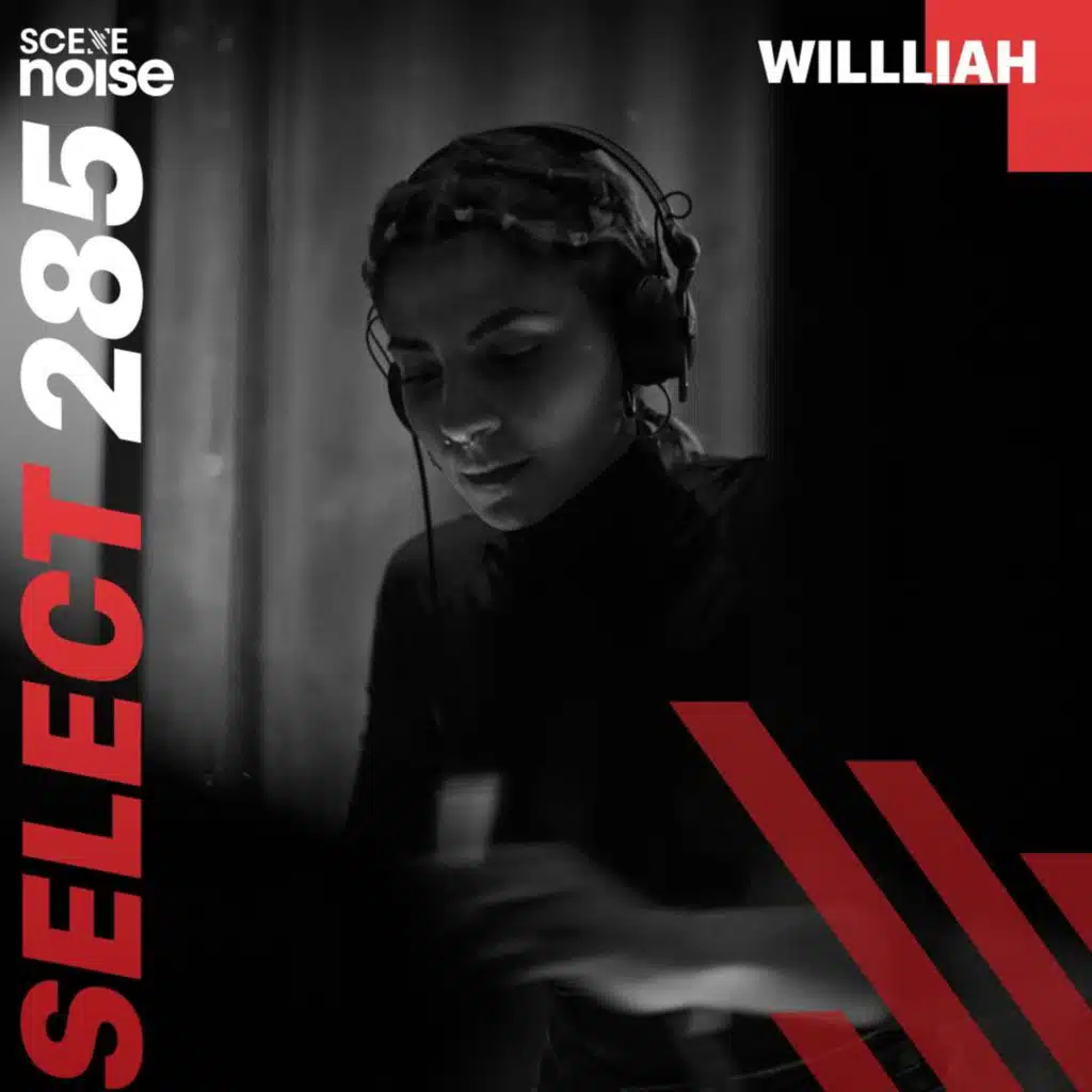 Select 285: Mixed by Willillah