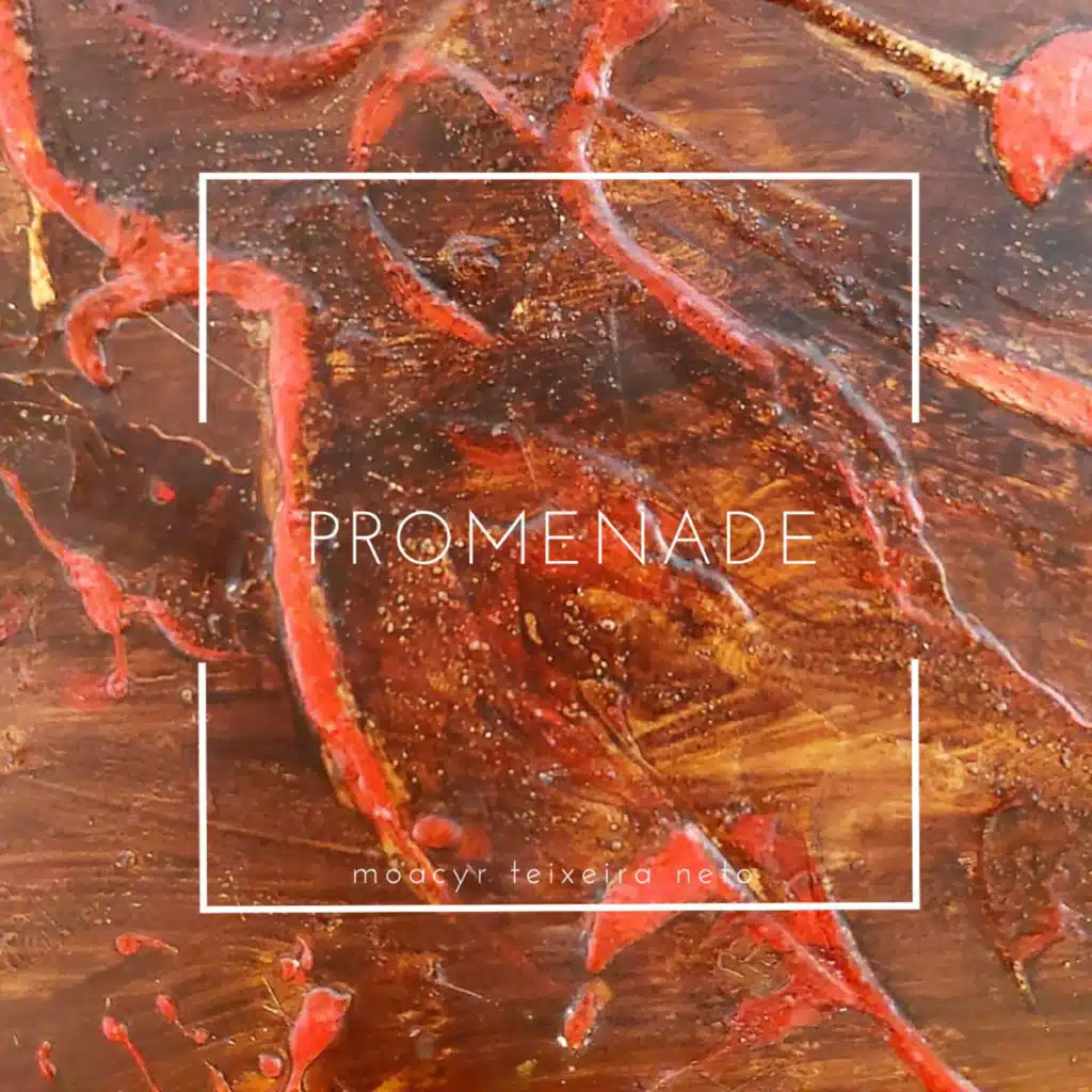 Moacyr Teixeira Neto