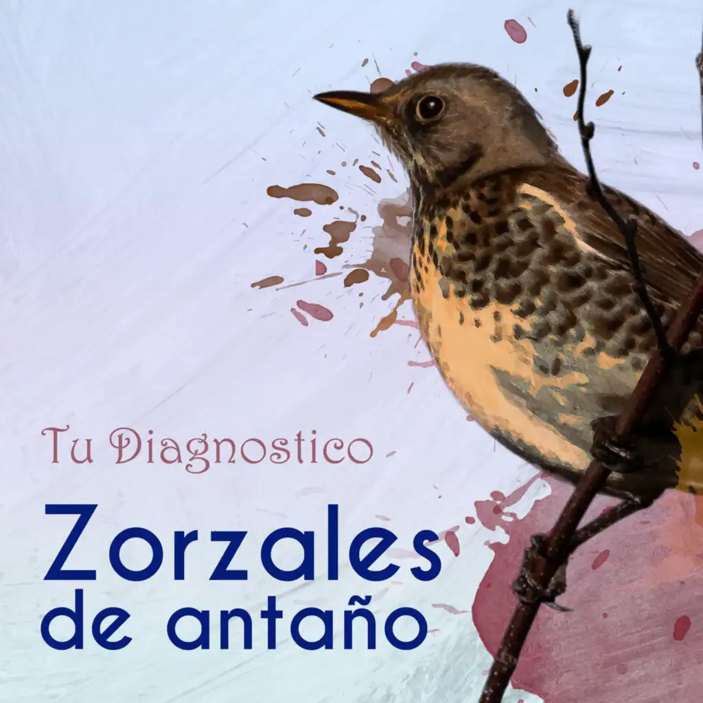 Zorzales de Antaño…Tu Diagnostico