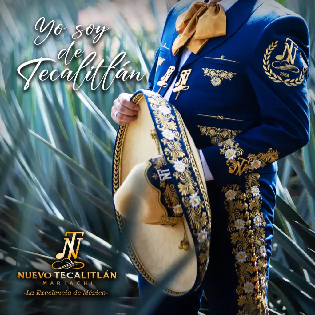 MARIACHI NUEVO TECALITLAN