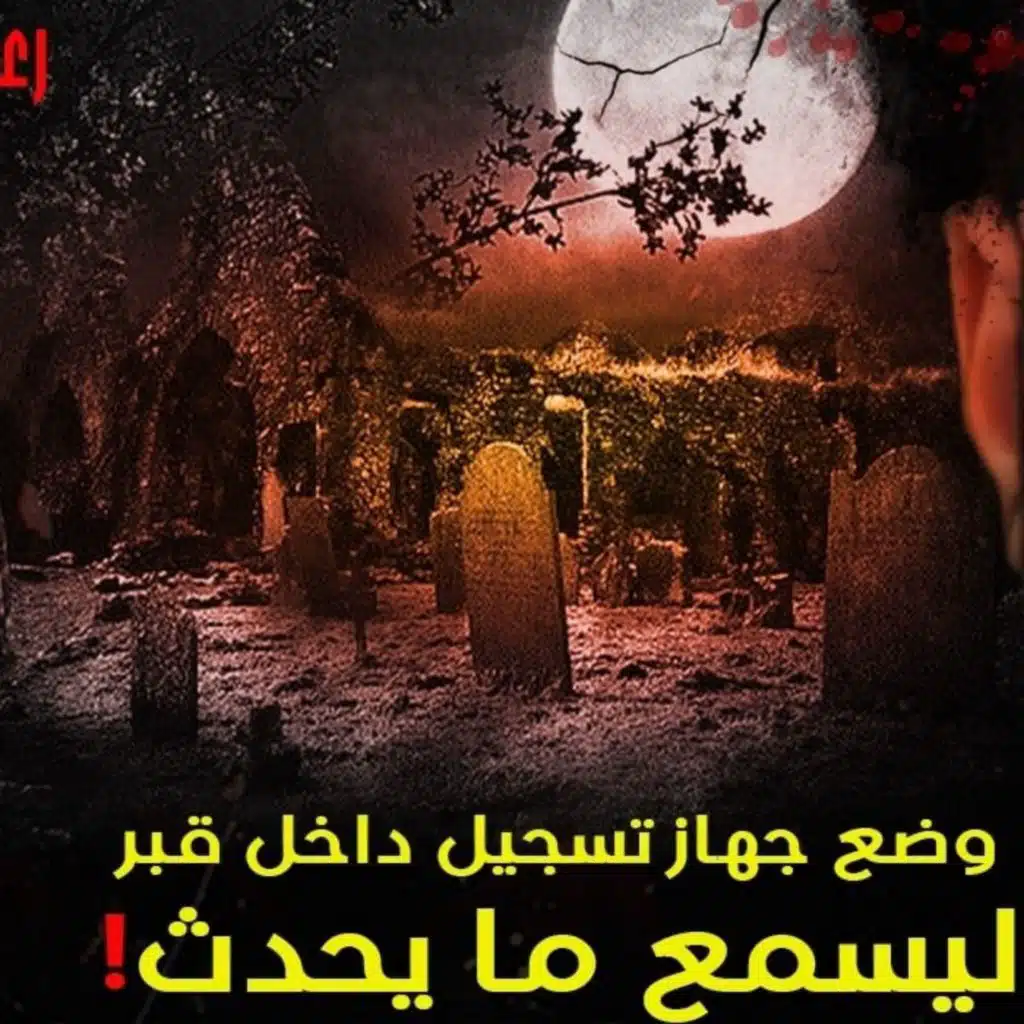 نصحي والمجهول _ رعب أحمد يونس