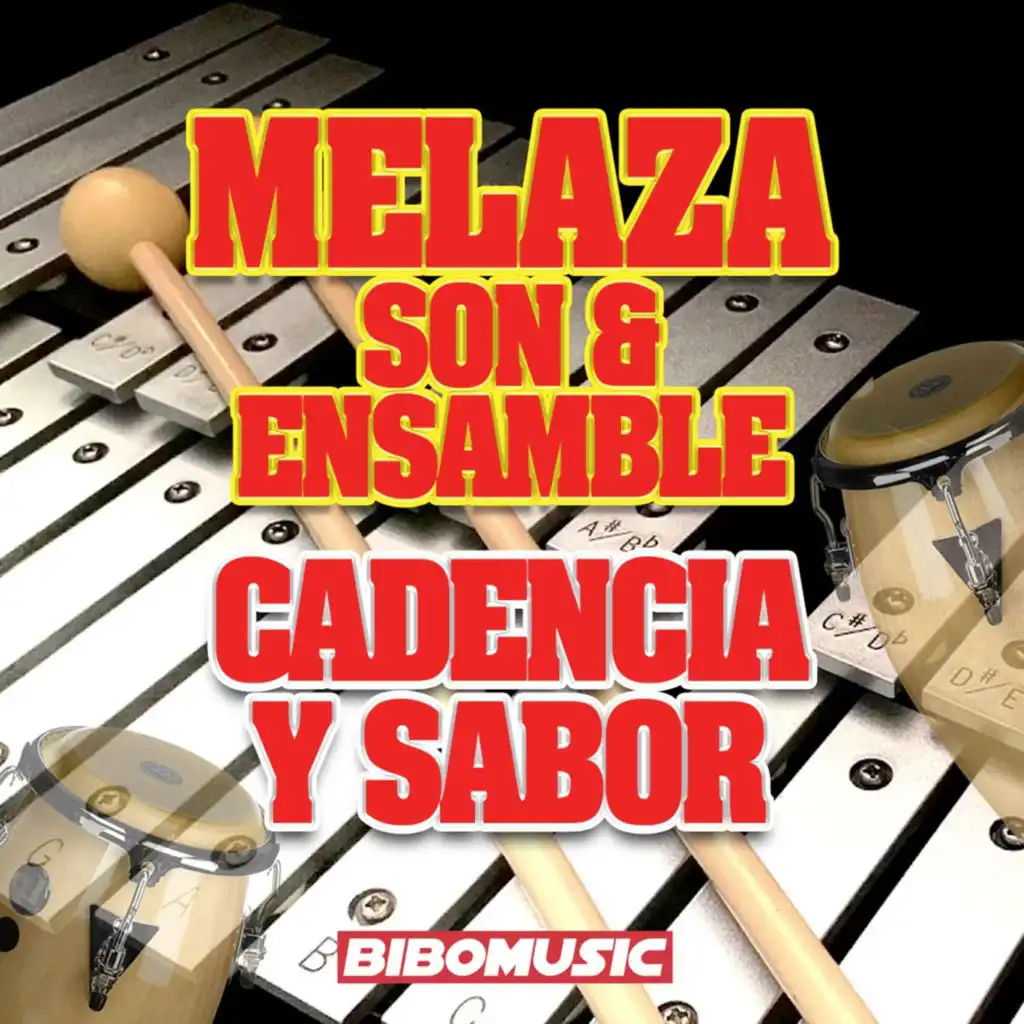 Melaza Son & Ensamble