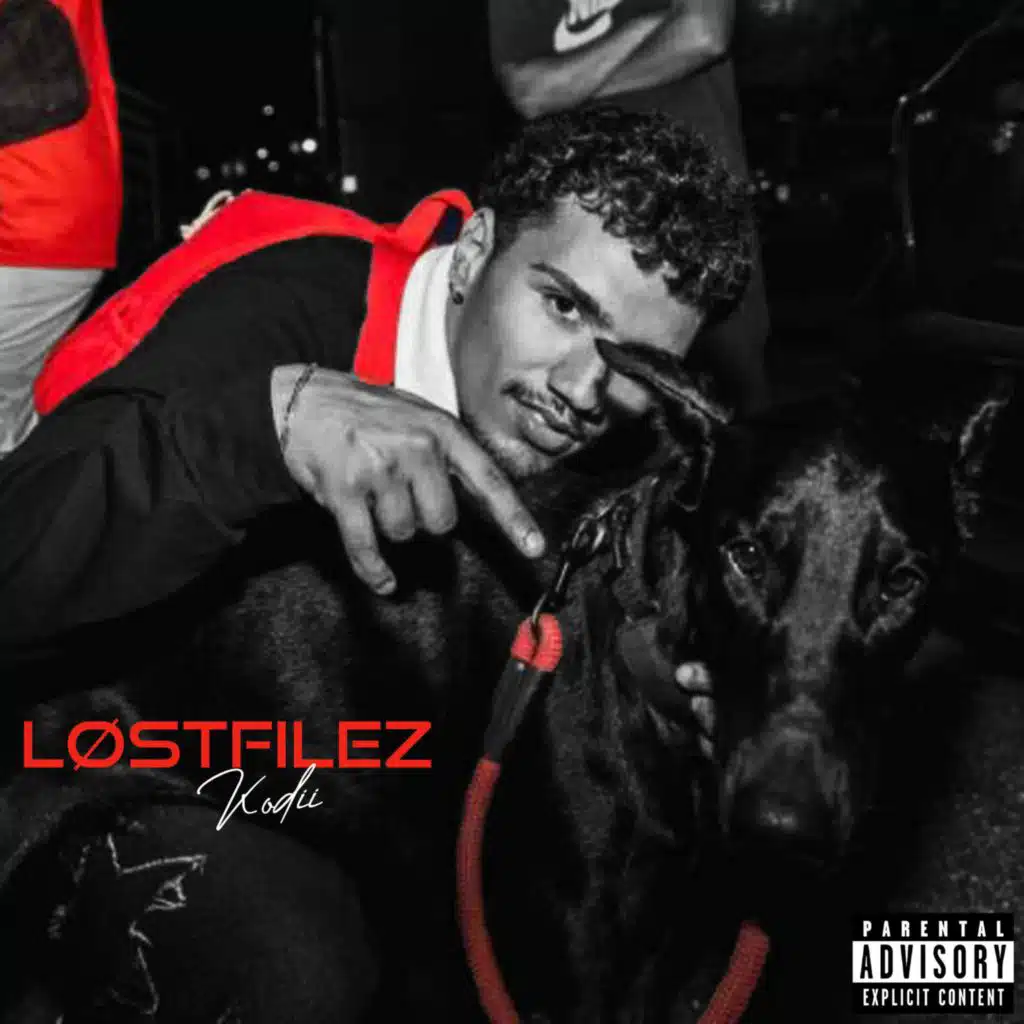 LOSTFILEZ